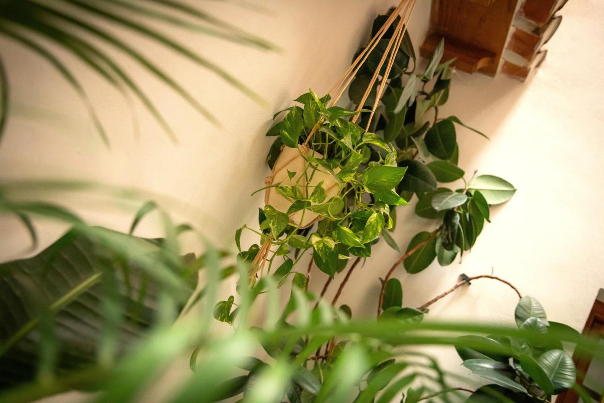 Apartamentos Turísticos San Pedro Granada Bagian luar foto